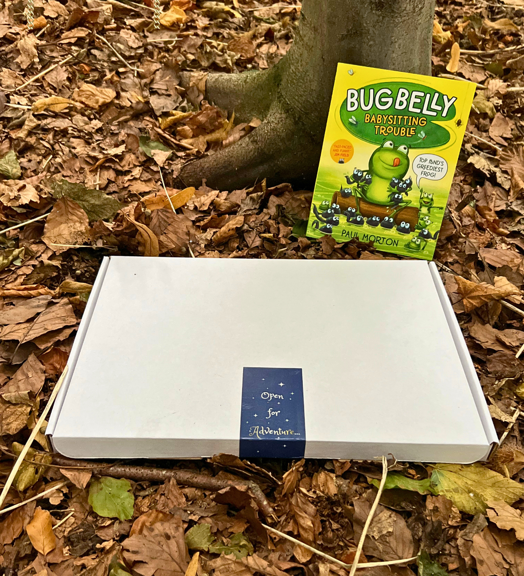 A white rectangular box with a navy blue label reading 'Crazy For Books' sits on a bed of brown autumn leaves outdoors near a tree trunk, with the children's book 'Bugs Belting Trouble' propped behind it.